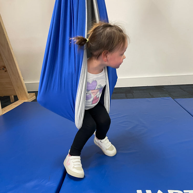 Sensory Swing for Children