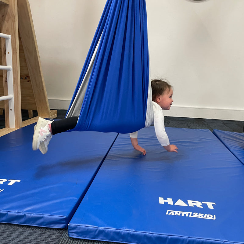 Sensory Swing for Children