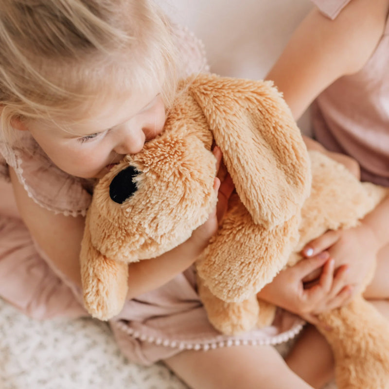 Charlie the Weighted Dog