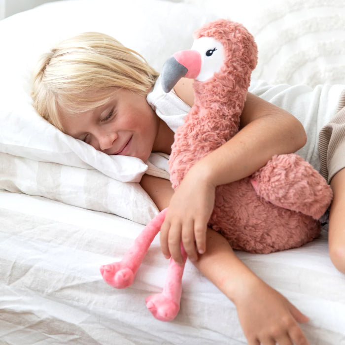 Francesca the Weighted Flamingo