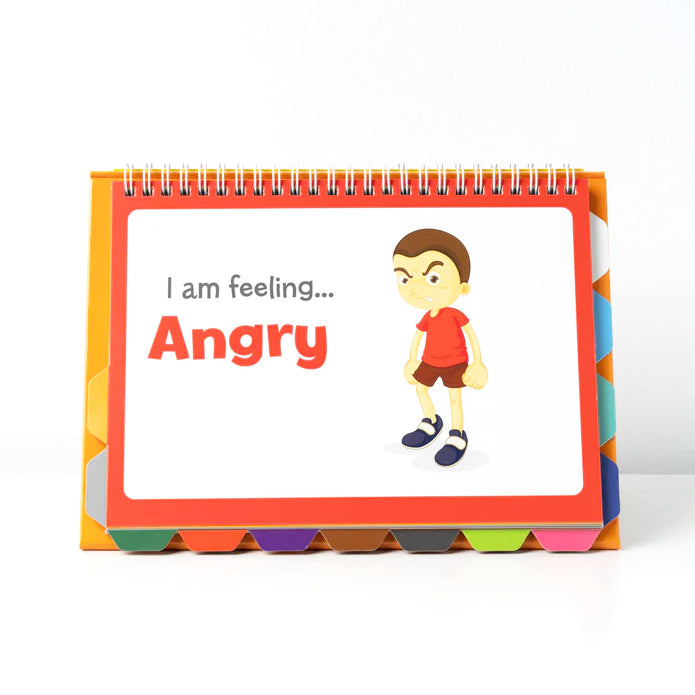 Junior Learning Feelings Flips