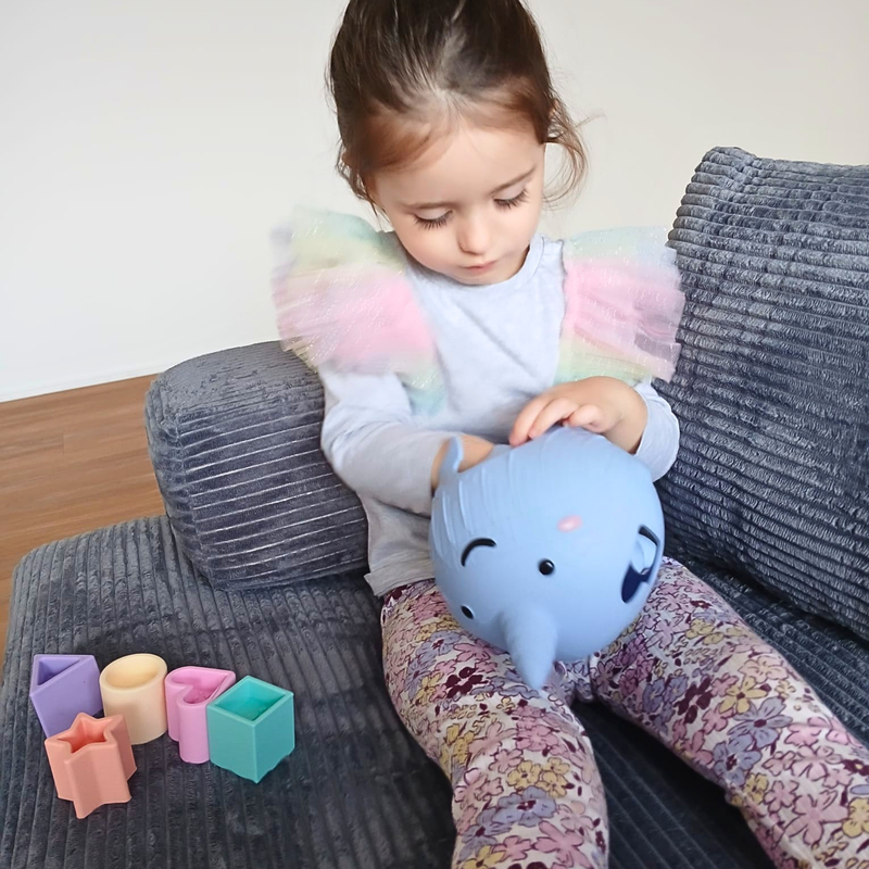 Narwhal Silicone Shape Sorter