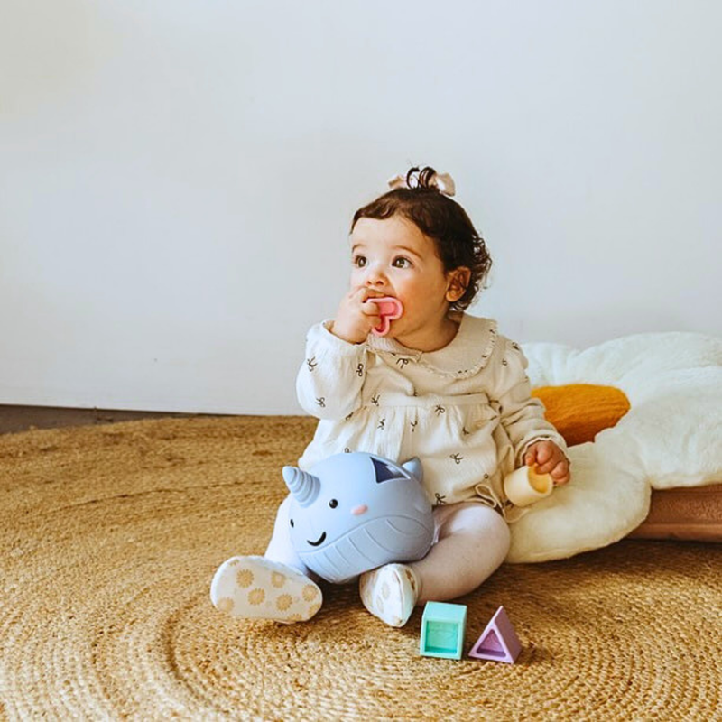 Narwhal Silicone Shape Sorter