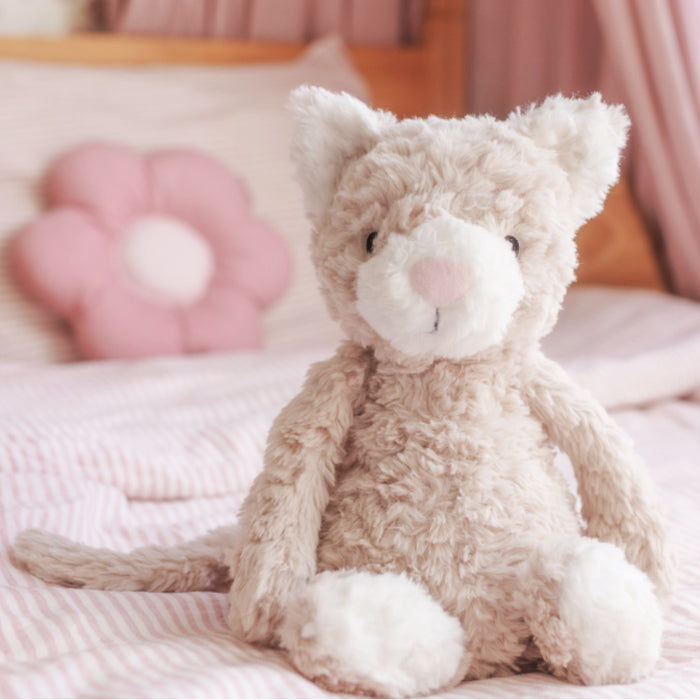 Pickles the Weighted Cat