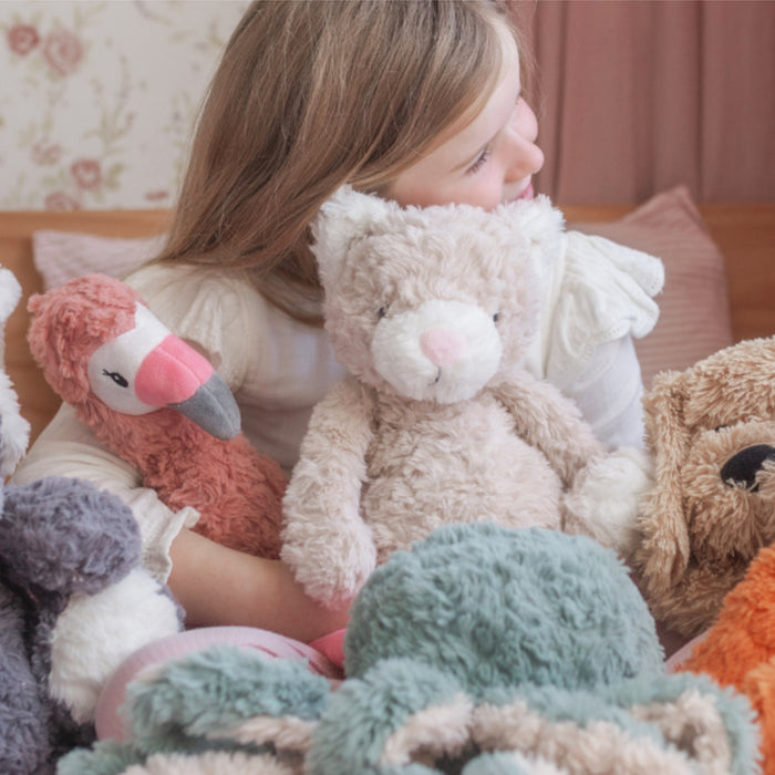 Pickles the Weighted Cat