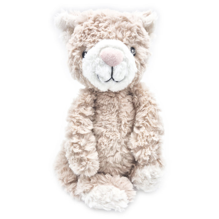 Pickles the Weighted Cat