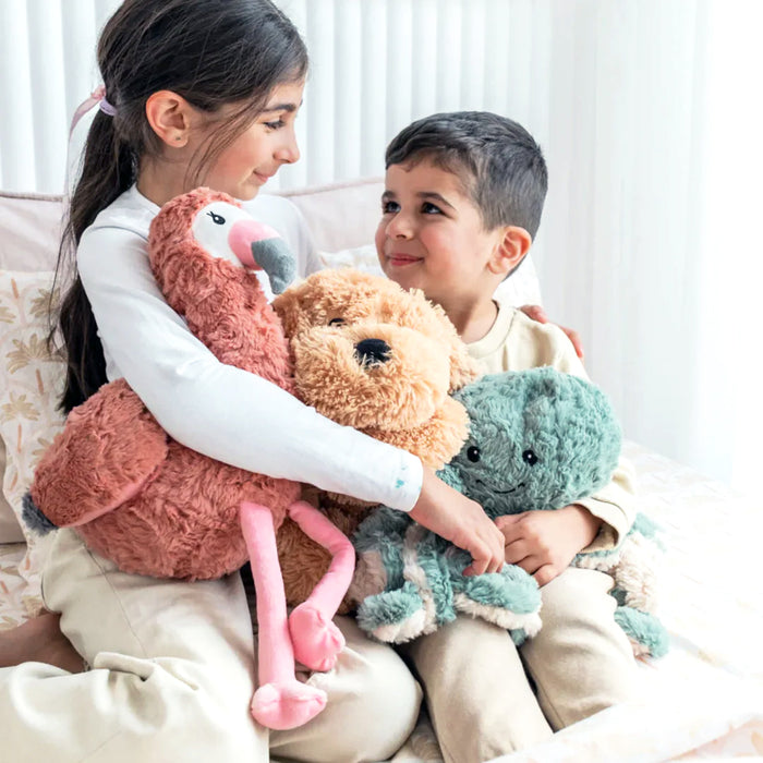 Weighted Buddy Bundle