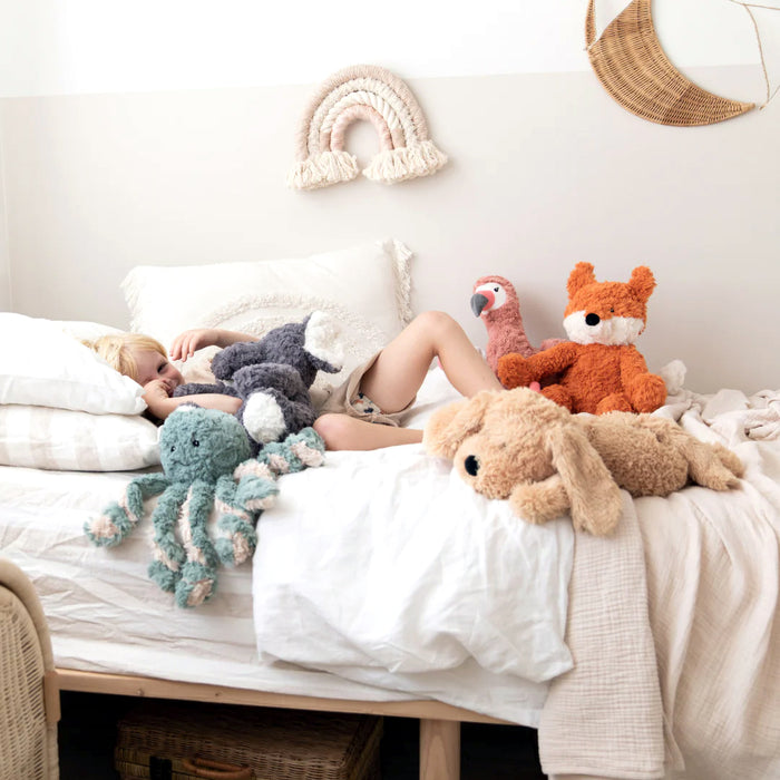 Weighted Buddy Bundle