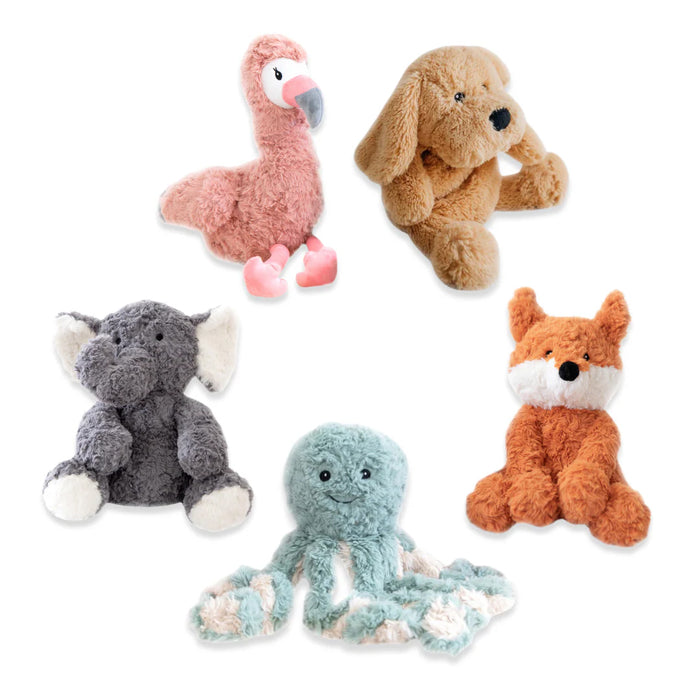 Weighted Buddy Bundle