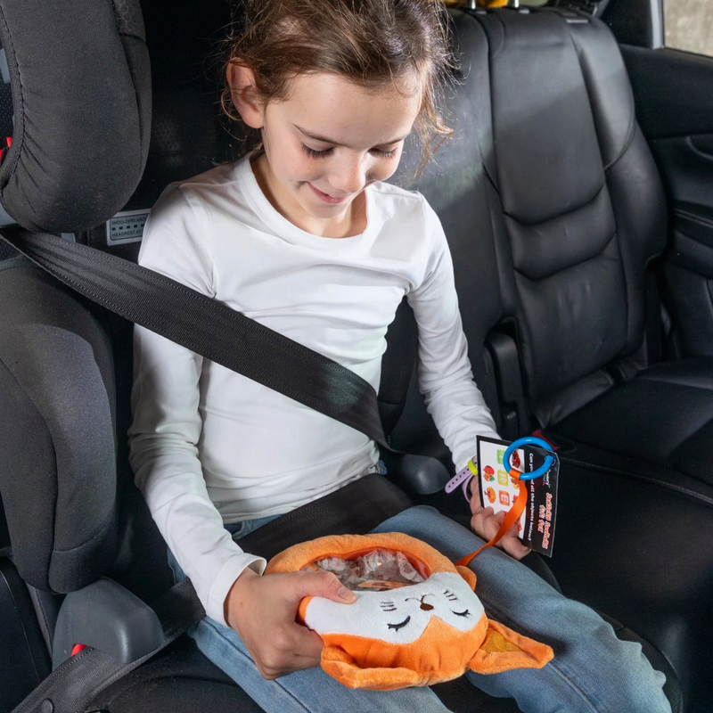 Sensory Seekers Seek and Find Travel Plush
