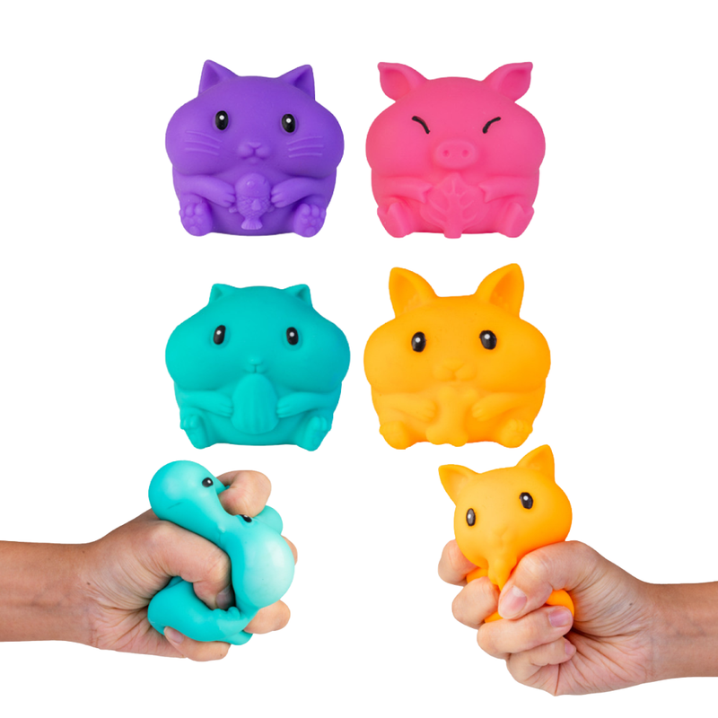 SQUEEZY OT's Choice Squeezy Fidget Pack
