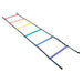 HART Sport Rainbow Ladder Activity Game